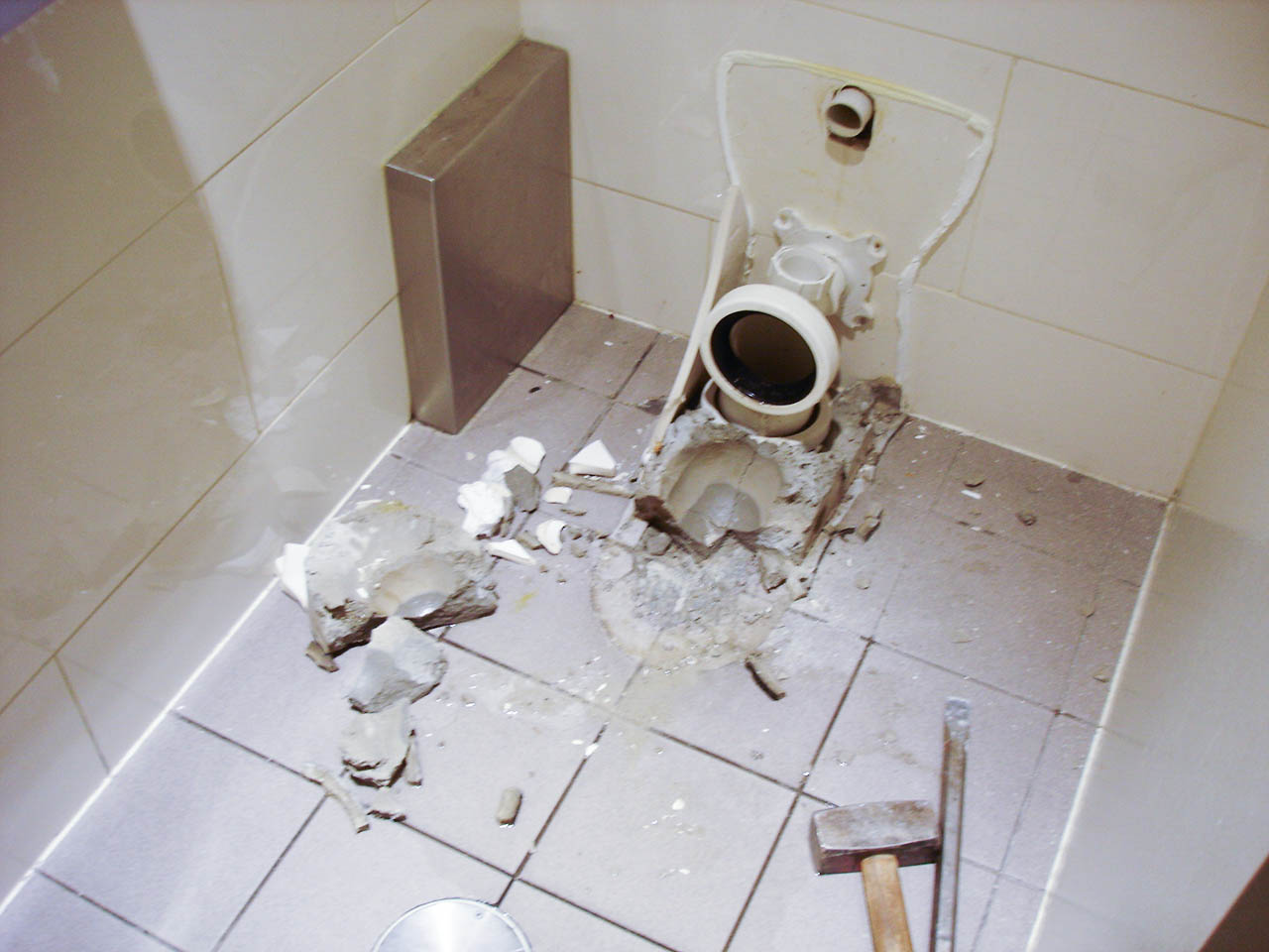 toilet smashed out